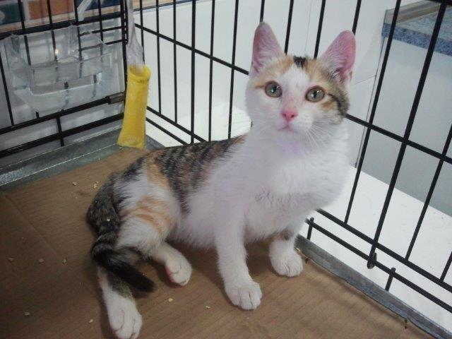 multimedia-foto48031-803-1