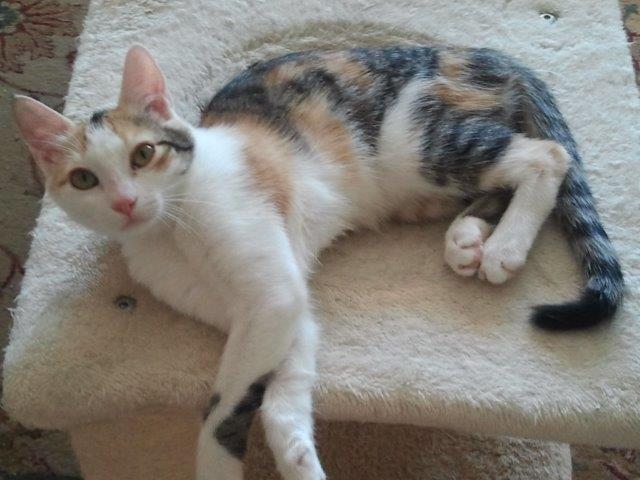 multimedia-foto48033-803-1