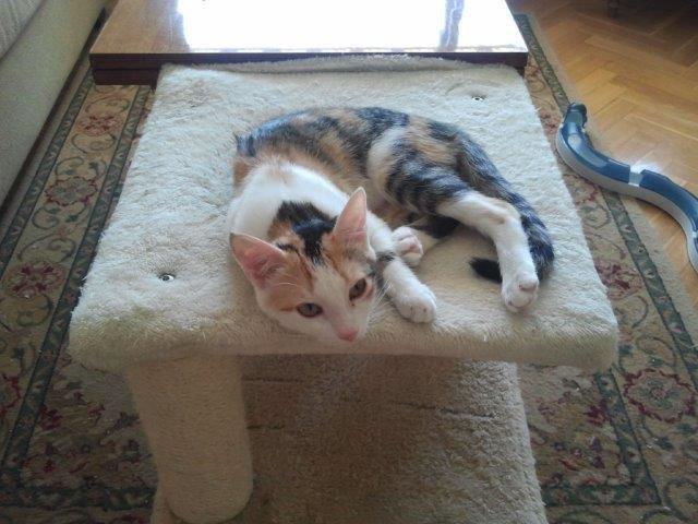 multimedia-foto48035-804-1