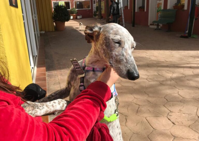 multimedia-foto48040-594-3