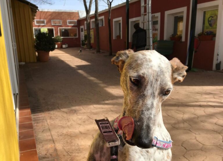 multimedia-foto48041-594-3