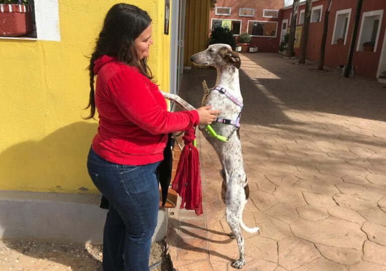 multimedia-foto48042-594-3