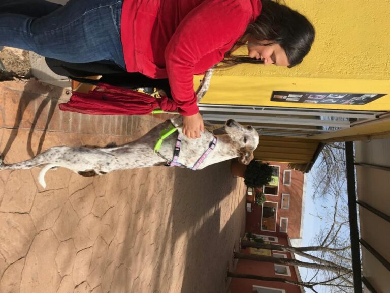 multimedia-foto48043-595-3