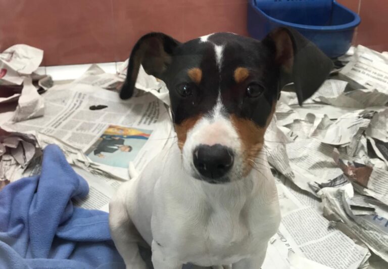 multimedia-foto48044-876-1