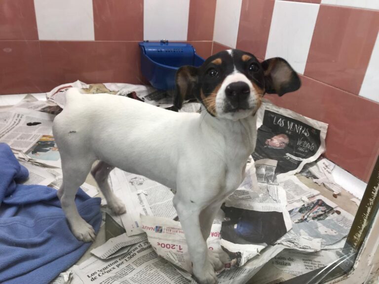 multimedia-foto48046-876-1