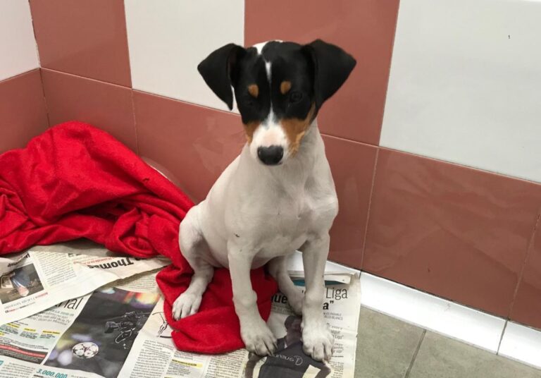 multimedia-foto48047-876-1