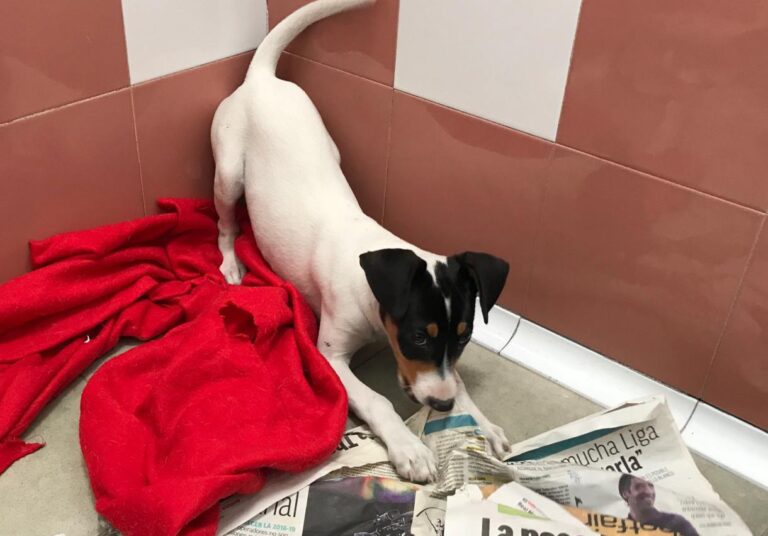 multimedia-foto48048-877-1