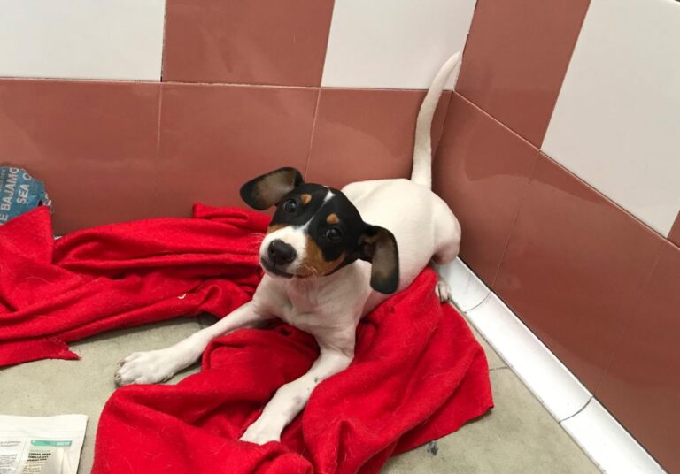 multimedia-foto48049-877-1