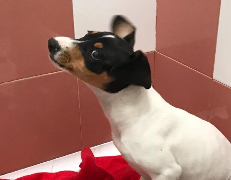 multimedia-foto48050-877-1