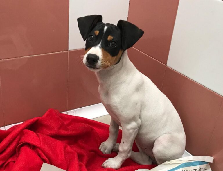 multimedia-foto48052-917-1