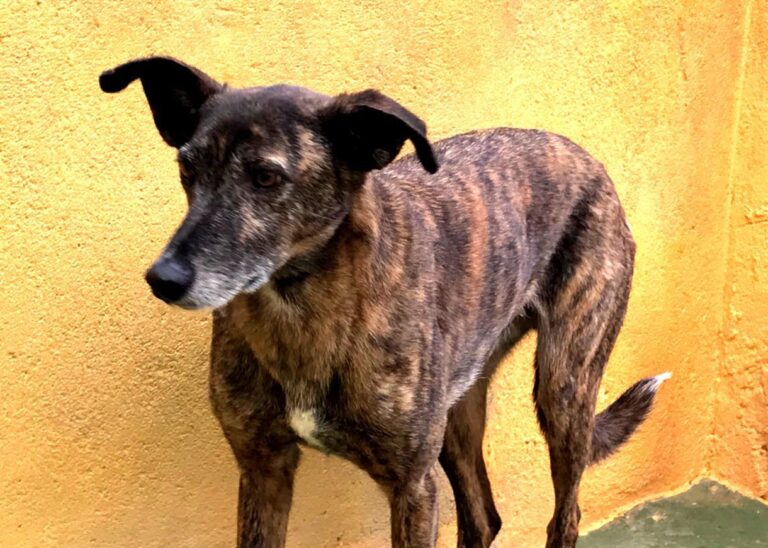 multimedia-foto48062-630-3