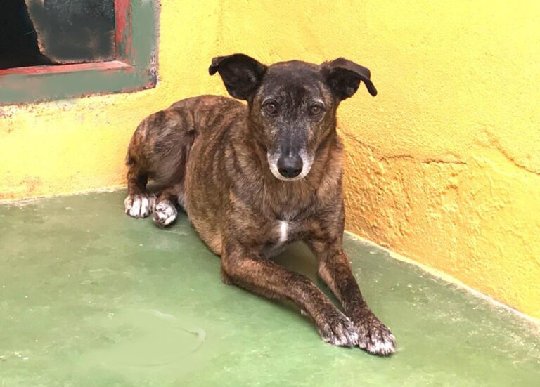 multimedia-foto48063-630-3