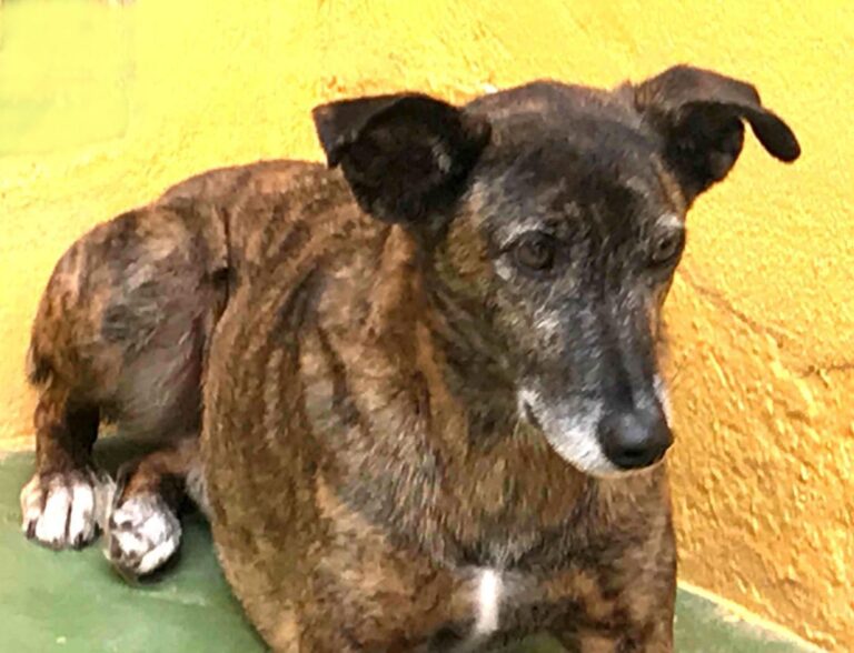 multimedia-foto48064-631-3