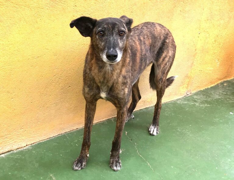 multimedia-foto48066-631-3