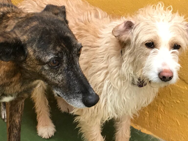 multimedia-foto48068-664-3