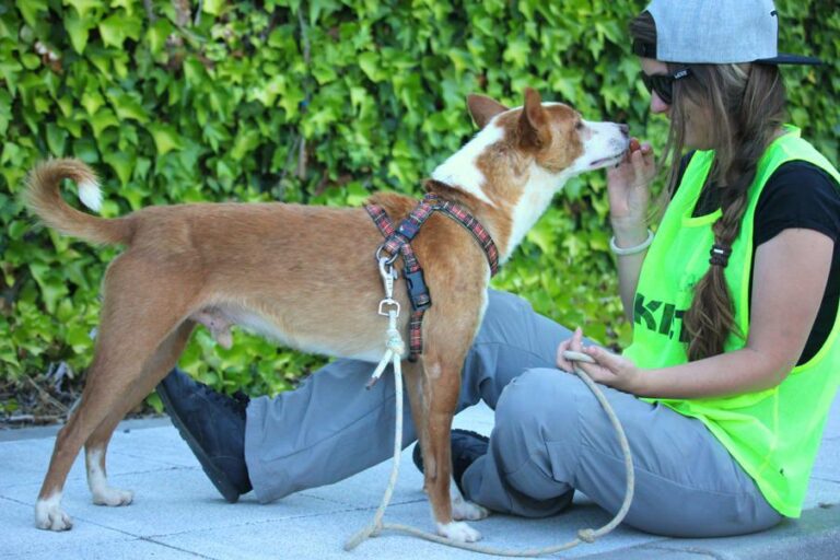 multimedia-foto48089-986-1