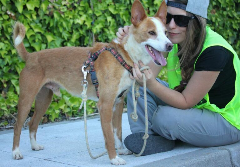 multimedia-foto48090-986-1