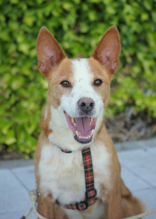 multimedia-foto48091-986-1