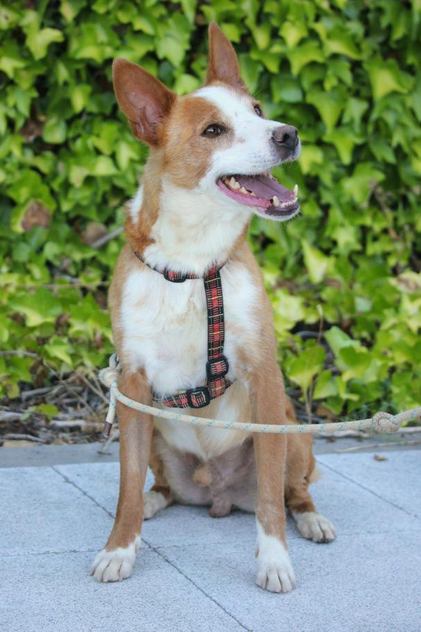 multimedia-foto48092-986-1