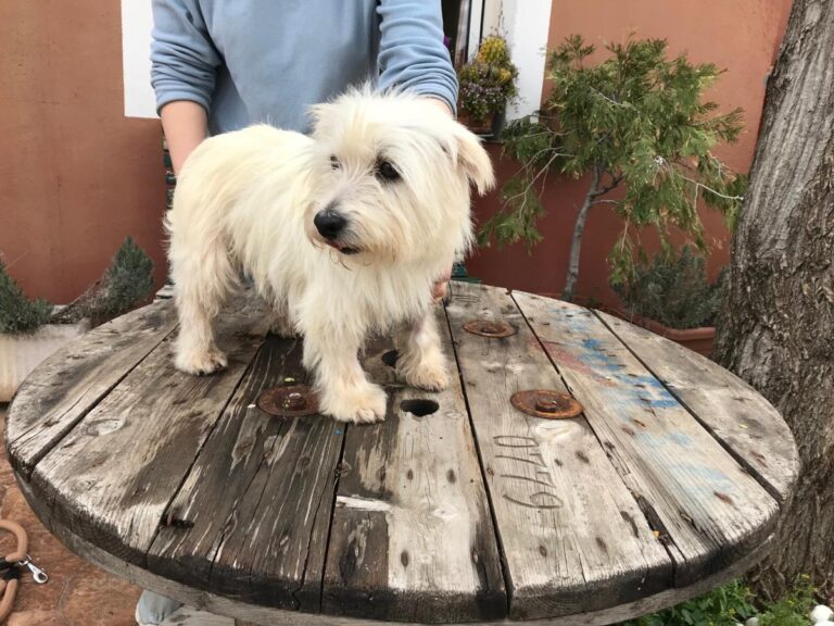 multimedia-foto48094-120-1