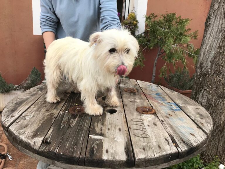 multimedia-foto48095-120-1