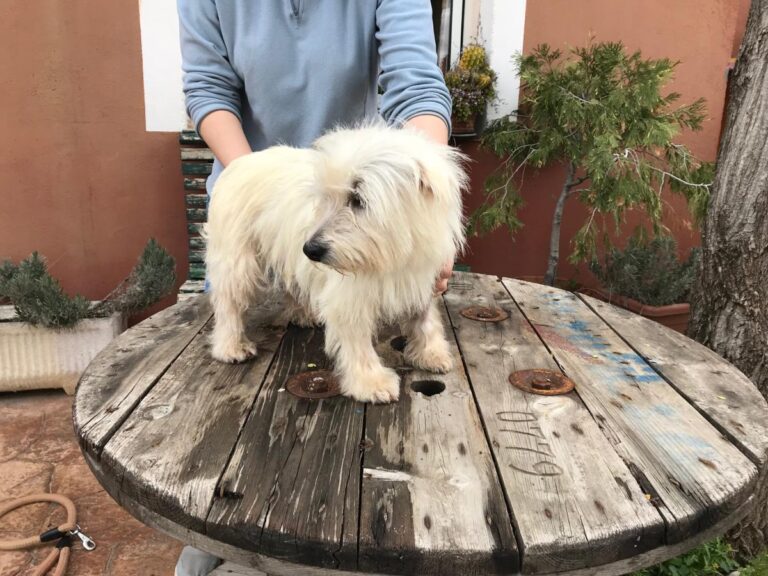 multimedia-foto48096-120-1