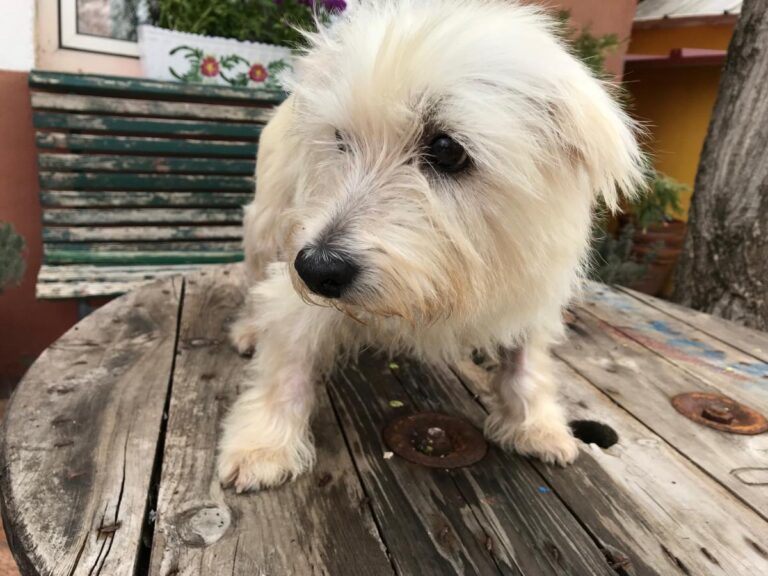 multimedia-foto48098-121-1