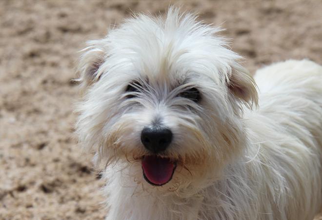 multimedia-foto48105-870-1