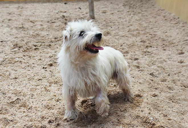 multimedia-foto48106-870-1