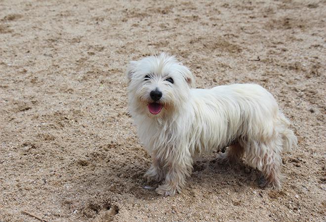 multimedia-foto48107-870-1