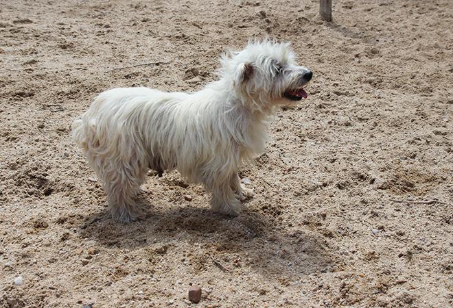 multimedia-foto48108-870-1