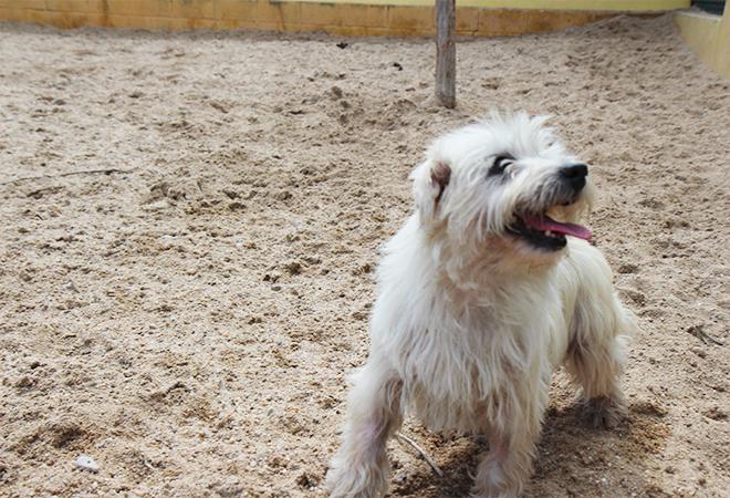 multimedia-foto48109-870-1