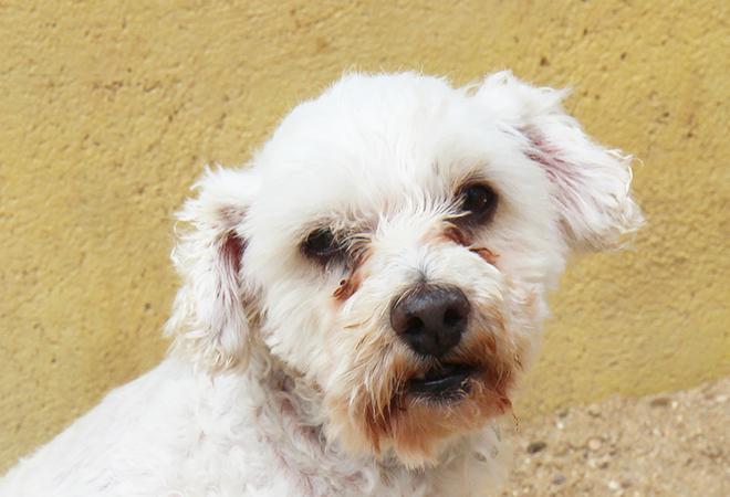 multimedia-foto48111-14-1