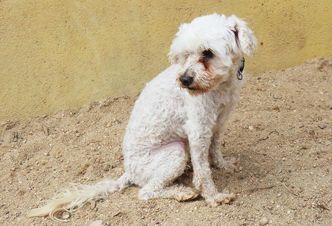 multimedia-foto48112-14-1