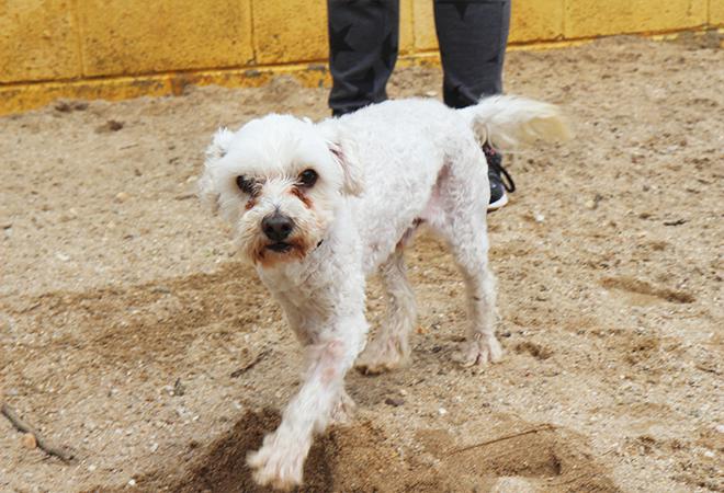 multimedia-foto48113-15-1