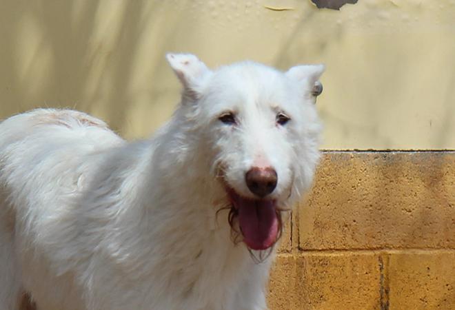 multimedia-foto48135-65-1