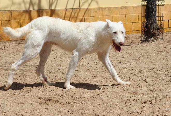 multimedia-foto48136-66-1