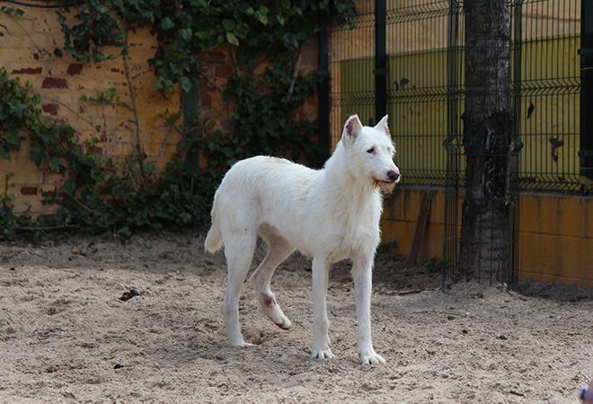 multimedia-foto48137-66-1