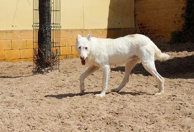 multimedia-foto48138-66-1