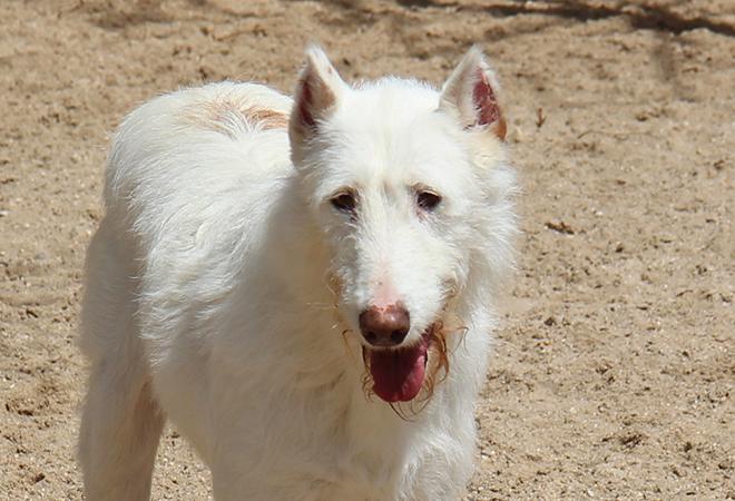 multimedia-foto48139-66-1