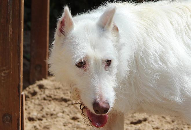 multimedia-foto48140-66-1