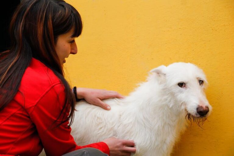 multimedia-foto48141-67-1