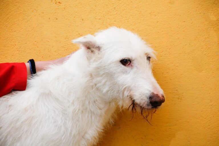 multimedia-foto48143-134-1