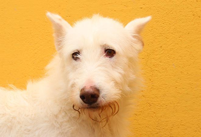 multimedia-foto48144-134-1