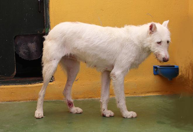 multimedia-foto48145-135-1