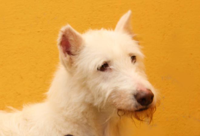 multimedia-foto48146-135-1