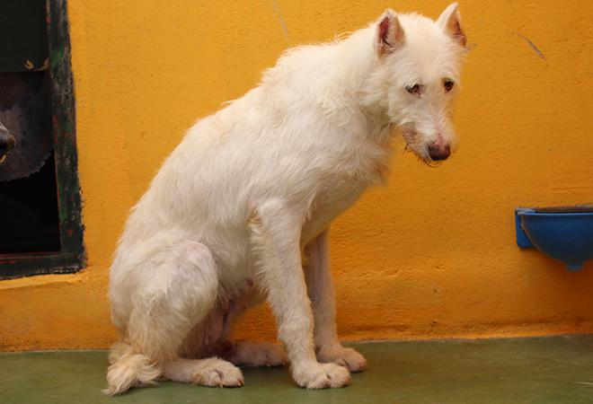 multimedia-foto48147-135-1