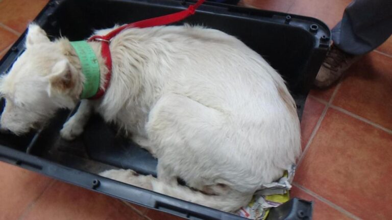 multimedia-foto48149-167-1