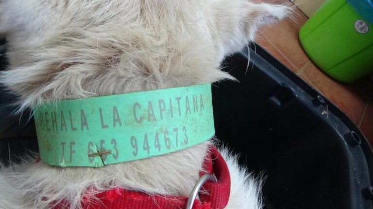 multimedia-foto48150-167-1