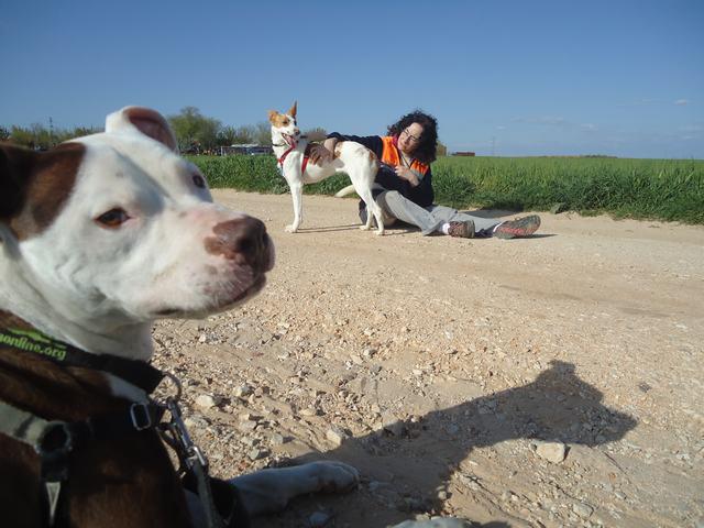 multimedia-foto48178-793-3